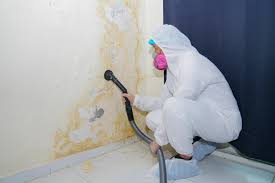 Best Residential Mold Inspection & Testing  in Lucas, TX